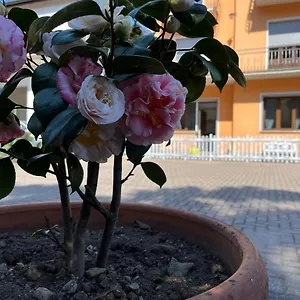https://ca-del-fili.it-lombardy.com